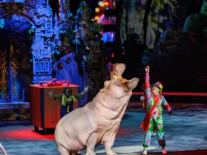 Chimelong International Circus