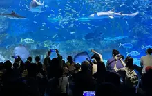 COEX Aquarium