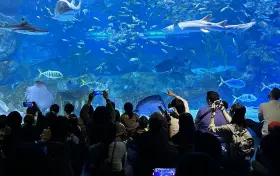 COEX Aquarium