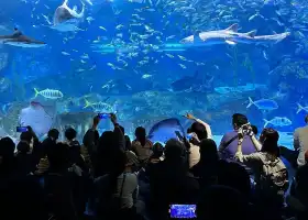 COEX水族館