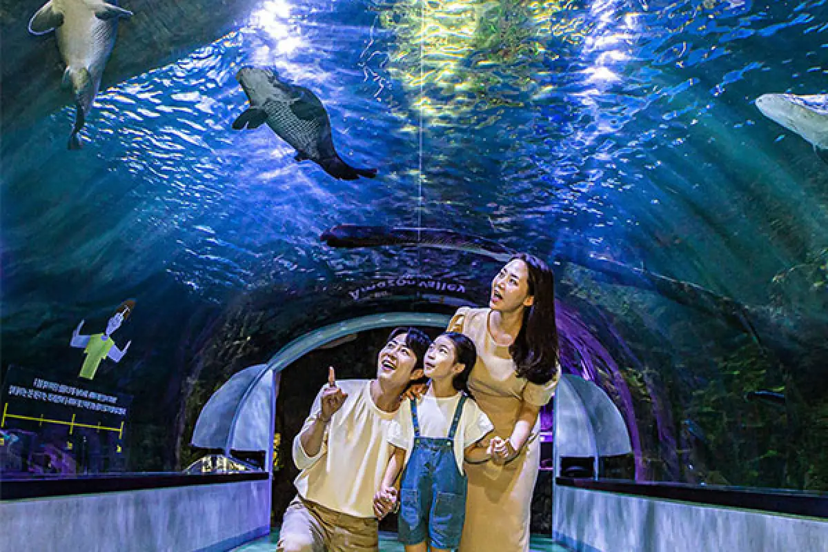 경기도 아이와 가볼만한 곳 실내