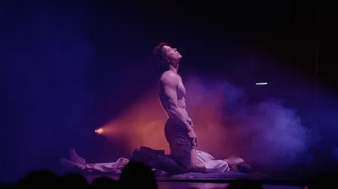 5_Wild Wild Show