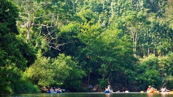 Nanla River Health and Wellness Resort