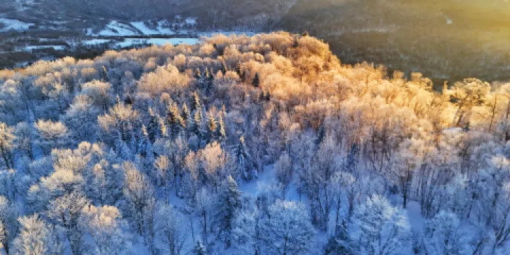 威虎山國家森林公園