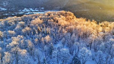 Weihu Mountain National Forest Park