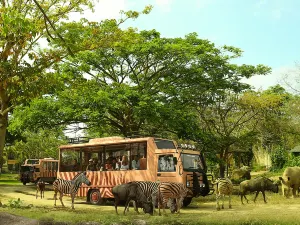 Taman Safari Bali