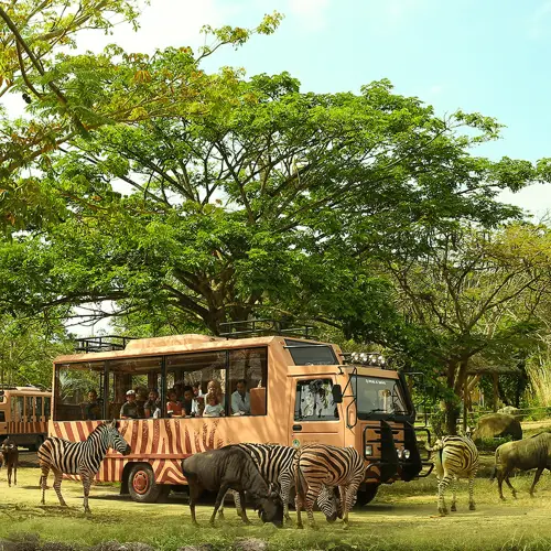 Taman Safari Bali