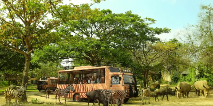峇里島野生動物園