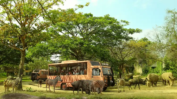 Hotels near Taman Safari Bali