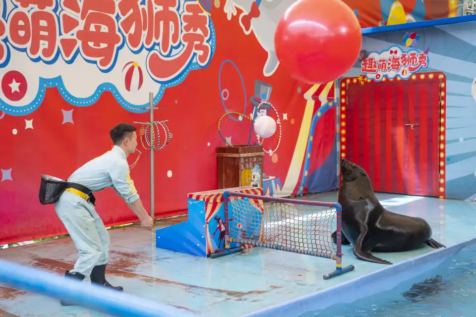 5_Chongqing Andover Ocean Park