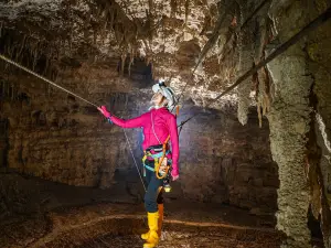 Swallow Cave Adventure Park