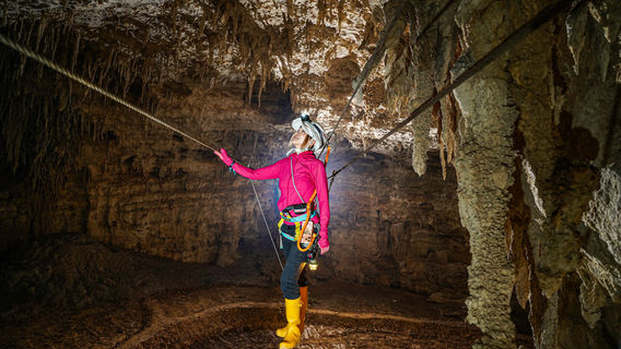 Swallow Cave Adventure Park