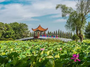 Honghu Eco-Tourism Scenic Area