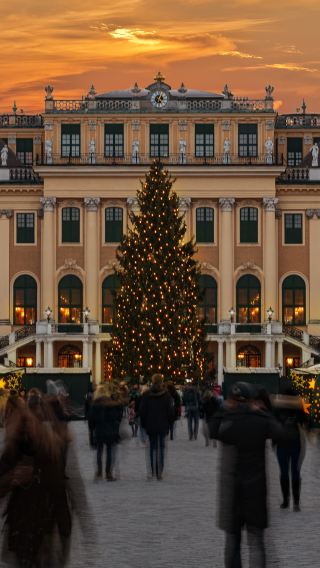 The Golden Hall + Orangery + Belvedere Palace + Kunsthistorisches Museum day tour in Vienna
