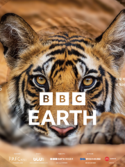 LIFE AT EXTREMES生靈奇蹟-BBC Earth主題影像全球首展