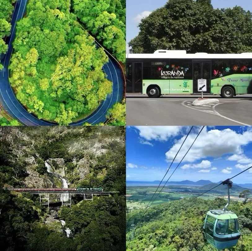 4_Kuranda Koala Gardens