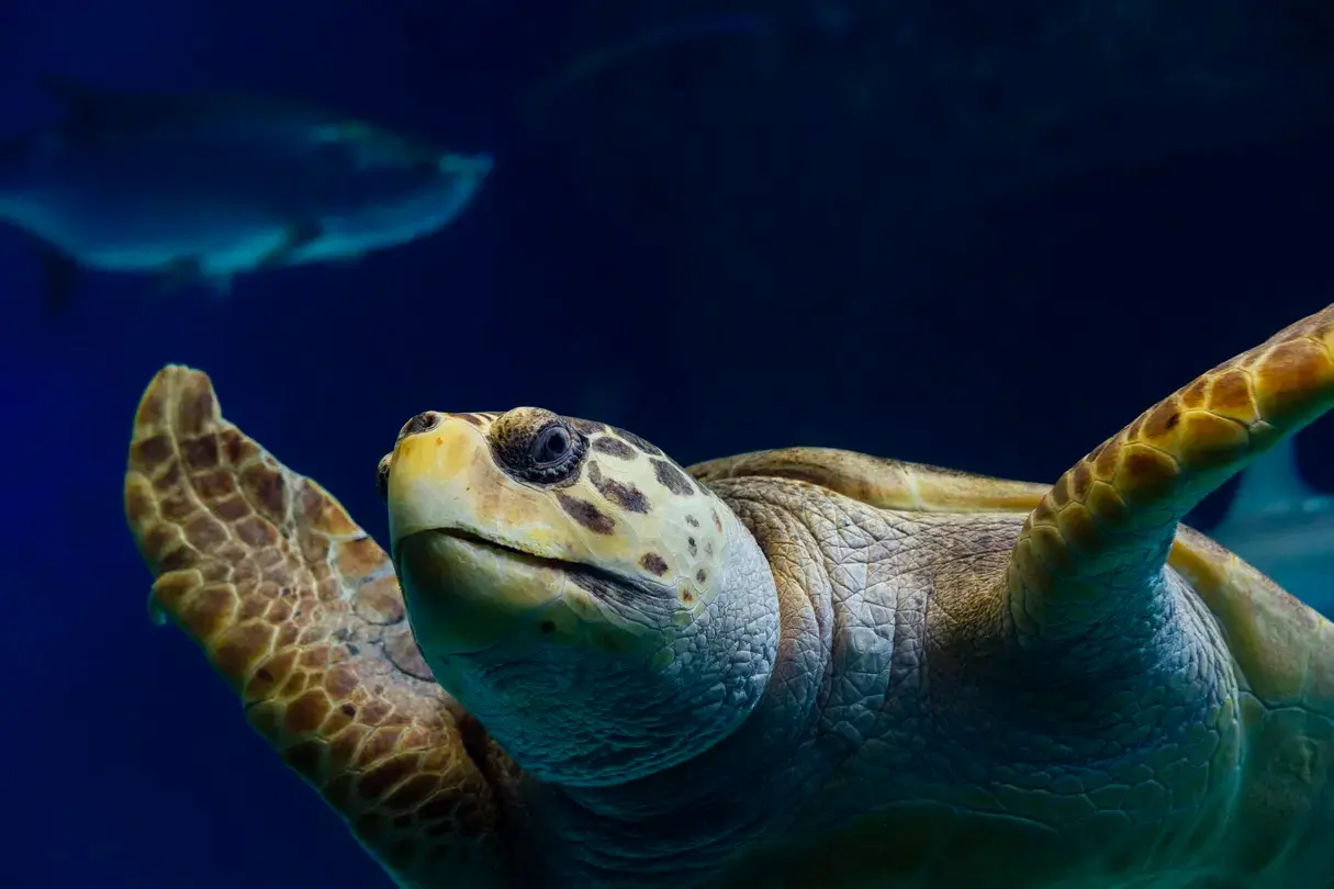 3_The Florida Aquarium