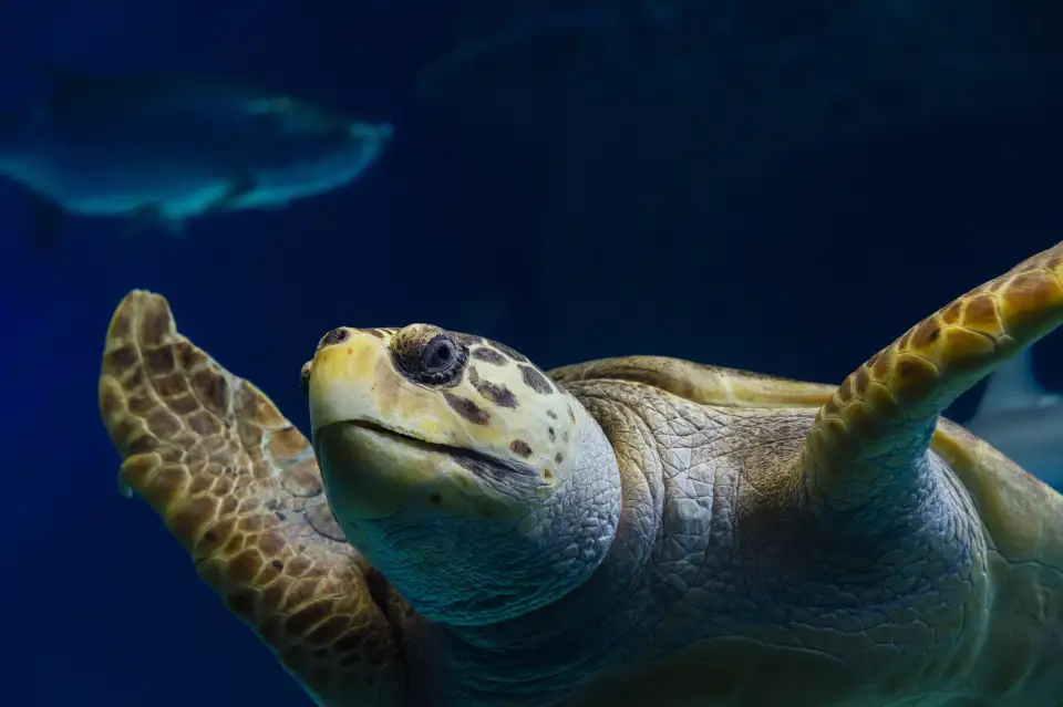 3_The Florida Aquarium