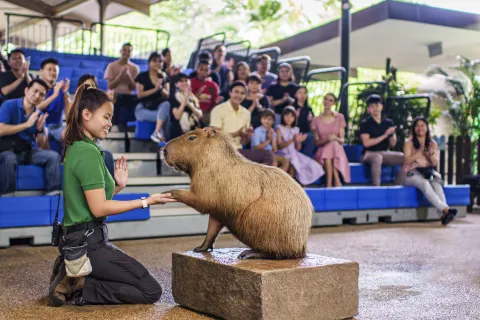Mandai Wildlife Reserve