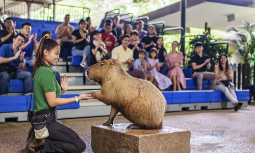 Mandai Wildlife Reserve