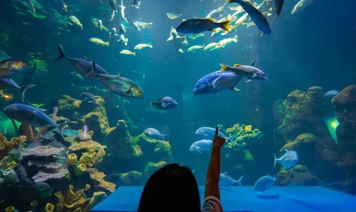 4_Sea World Indonesia