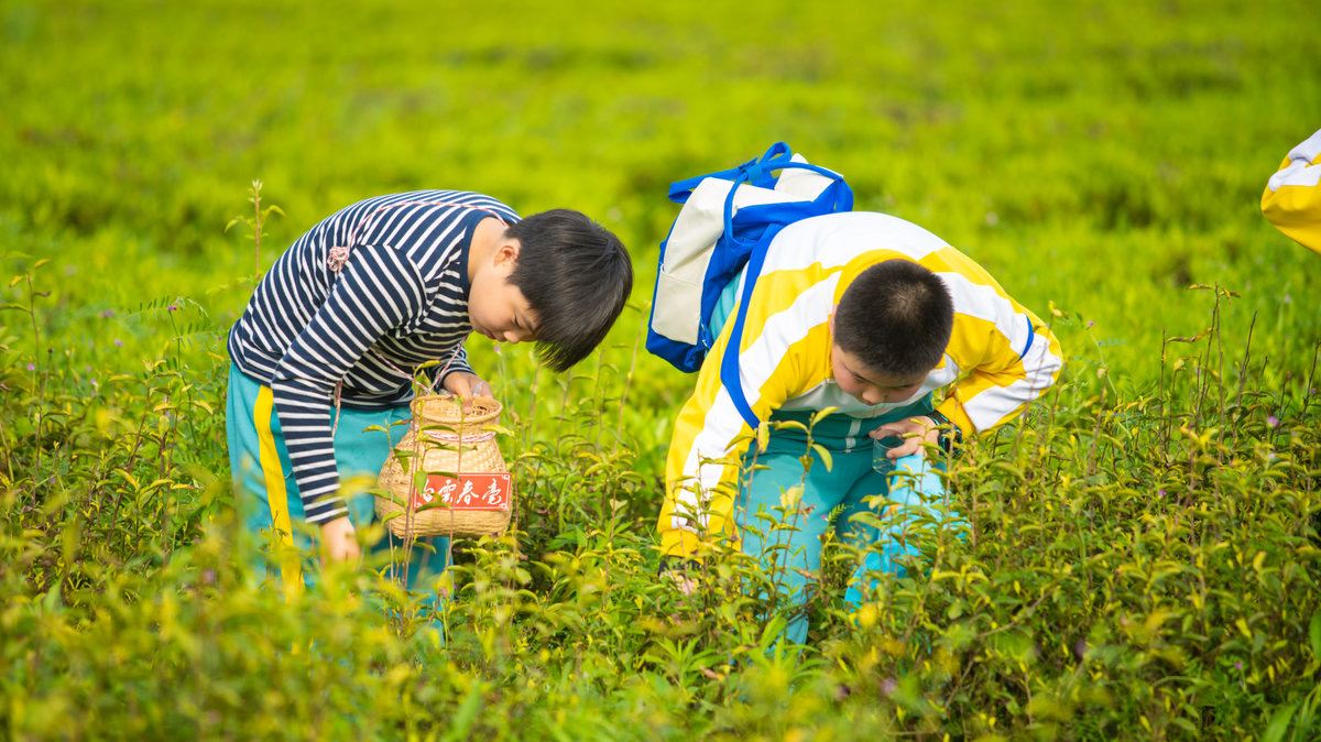 Compare 5 airports near Lujiang