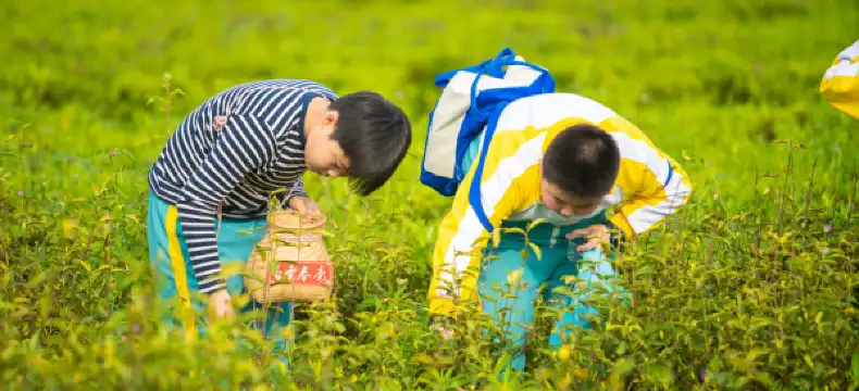 Echarm overnatningssteder i Lujiang County