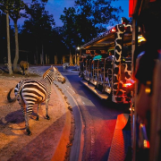 Sightseeing tours