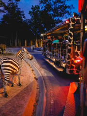 チェンマイナイトサファリ動物園