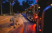 Chiang Mai Night Safari