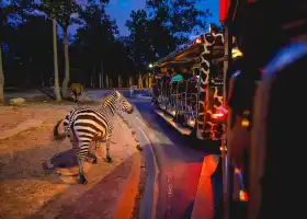 清邁夜間野生動物園