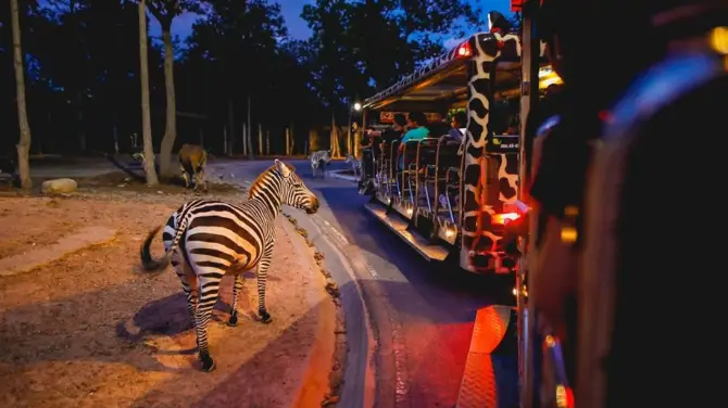 1_Chiang Mai Night Safari