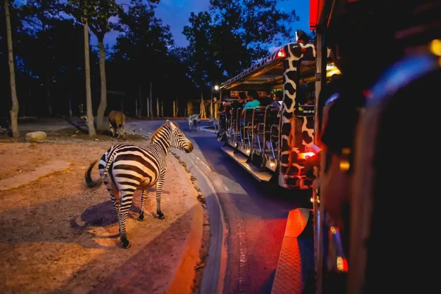 치앙마이 야간동물원