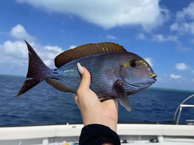 Sea Angling in Sansha