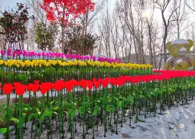 Huaxi Gushuqiao Park