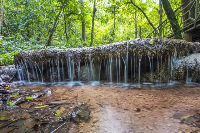 Hiking in Xishuangbanna