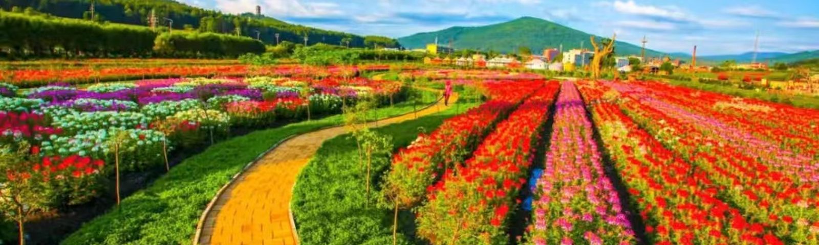 travel