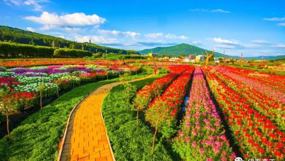 Langxiang Flower Sea