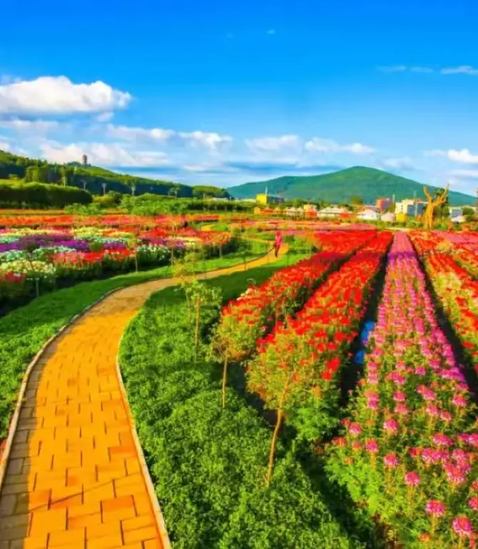 Daqingshan County