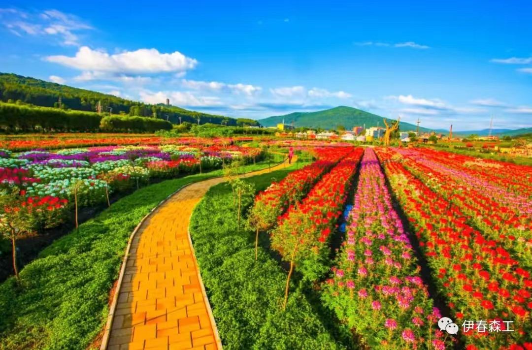 daqingshancounty