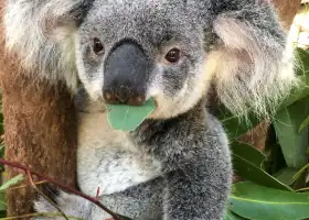 Rainforestation Nature Park