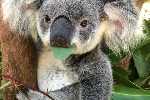 Rainforestation Nature Park