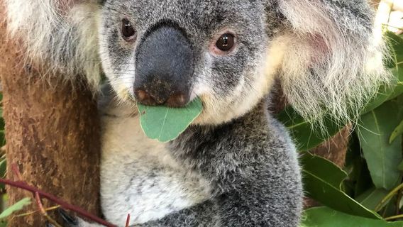 Rainforestation Nature Park