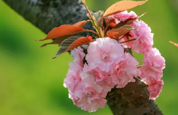 穀陽城遺址叢林越野車3圈成人