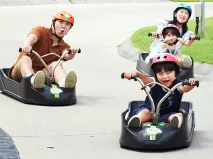 Skyline Luge Busan