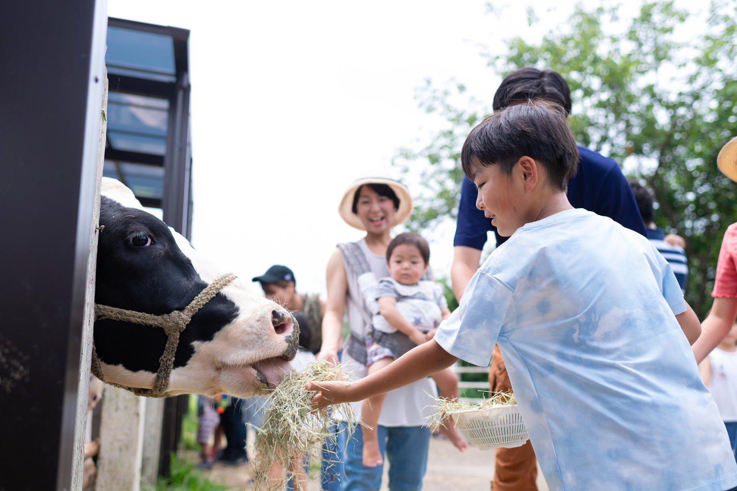 千葉 成田ゆめ牧場 入場Eチケット 予約（即日発券）