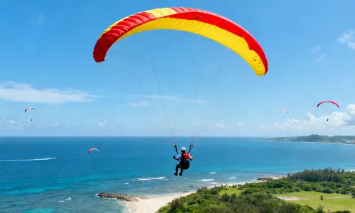 Paragliding in Okinawa