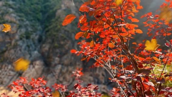 Zhengguo Canal Scenic Area