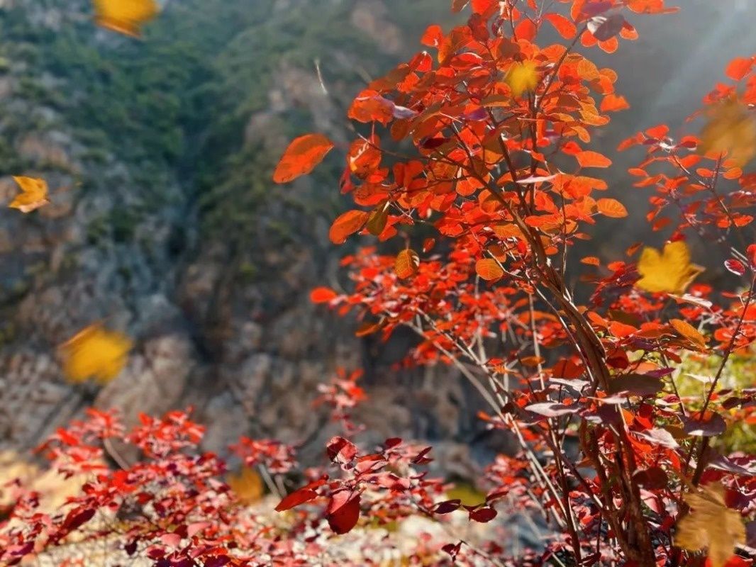 Zhengguo Canal Scenic Area