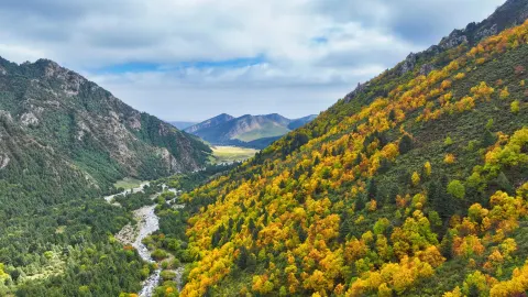 Qilian Mountains Binggou River Scenic Area attraction in Gansu